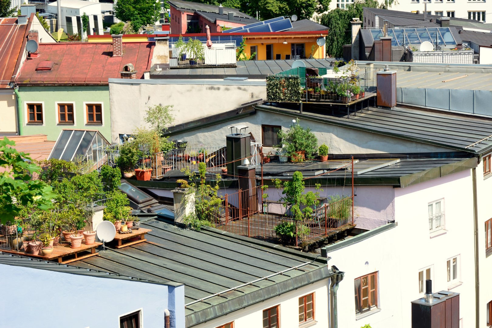 Dachterrasse mit pflanzen als dachgarten